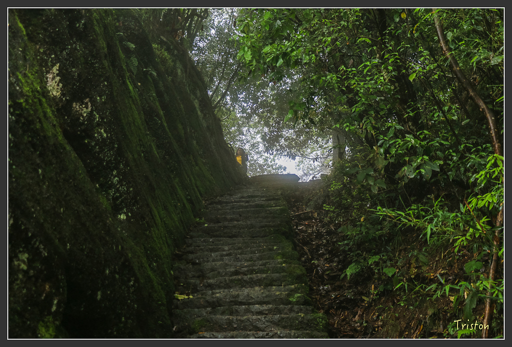 IMG_6396.jpg - 20160409 武夷山之旅