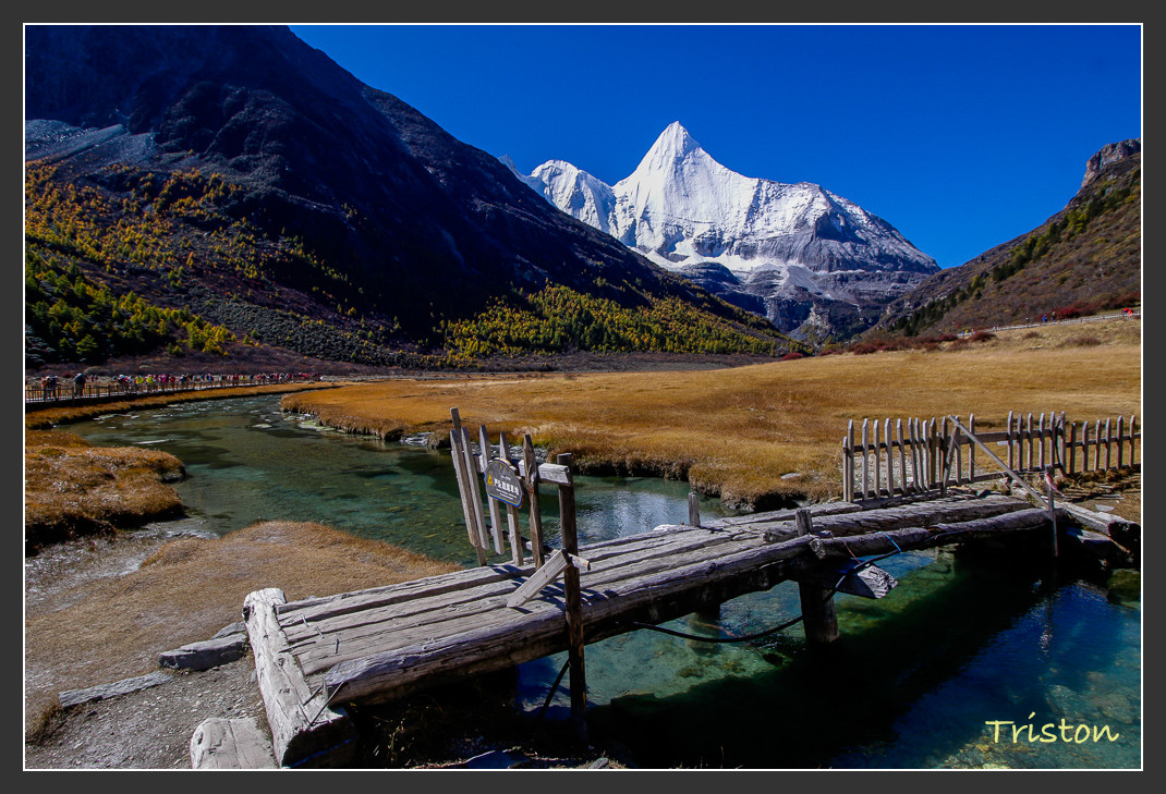 _MG_1698.jpg - 20161013 稻城亞丁