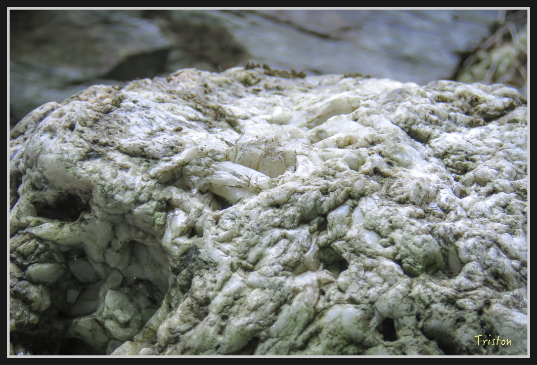 IMG_0757.jpg - 20170111 龍頭山步道、羅木斯步道、茂林谷瀑布