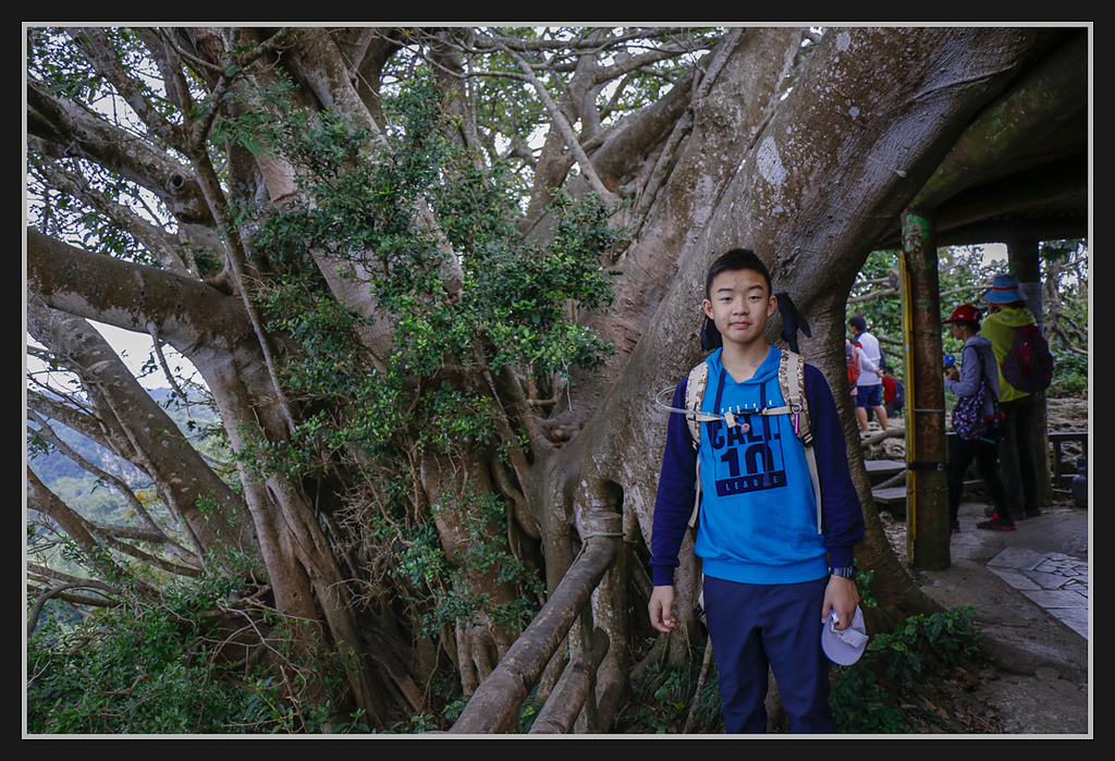 _MG_0054.jpg - 20170205 柴山盤榕雅座路線