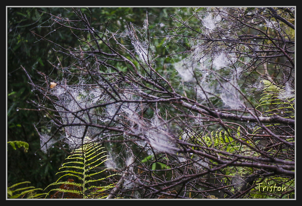 2017-02-27 10.03.53 下午 _MG_0370.jpg - 20170225 玉里瓦拉米