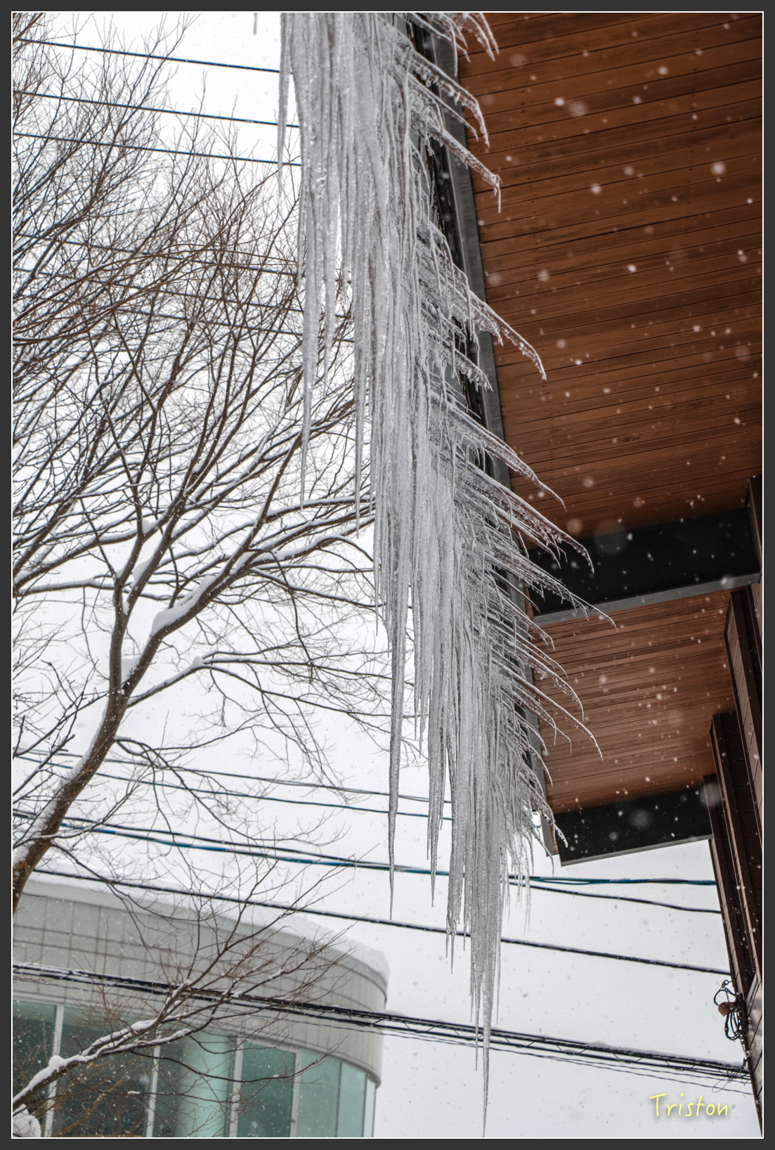 2016ZAO-01117.jpg - 20160131 日本藏王溫泉滑雪親子行