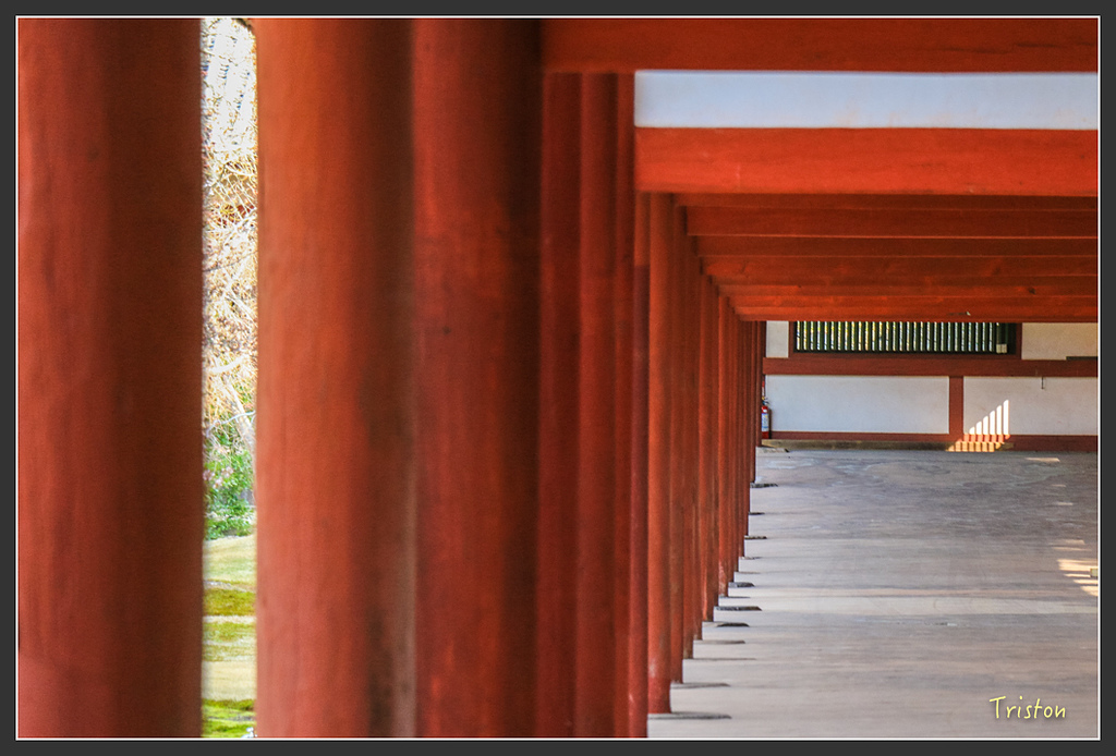 IMG_4405.jpg - 20160323 日本熊野古道健行