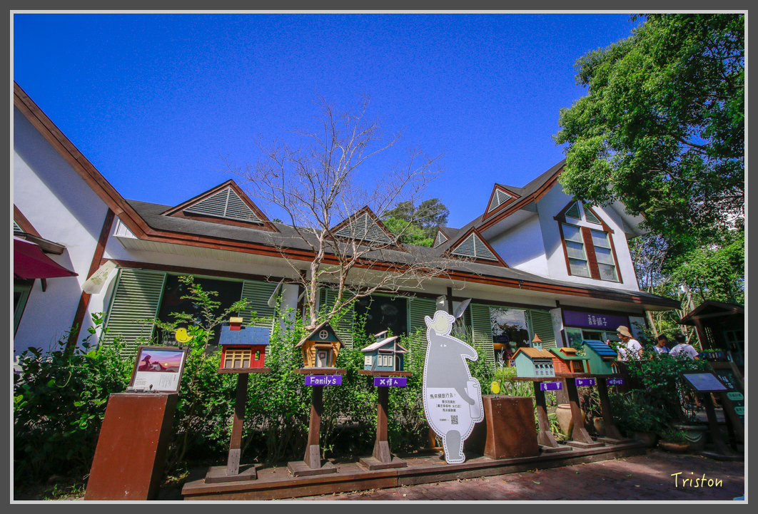 _MG_8898.jpg - 20160712 苗栗薰衣草森林