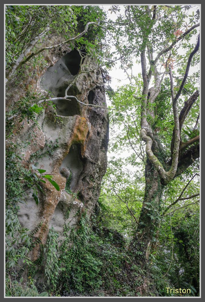 _MG_0024.jpg - 20161126 台南崁頭山