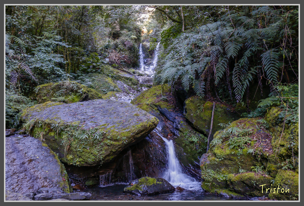 _MG_0306.jpg - 20161203 鎮西堡