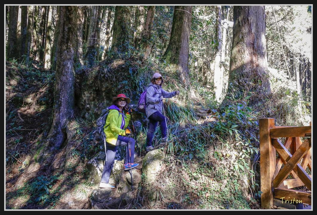 _MG_0027.jpg - 20161226 大塔山