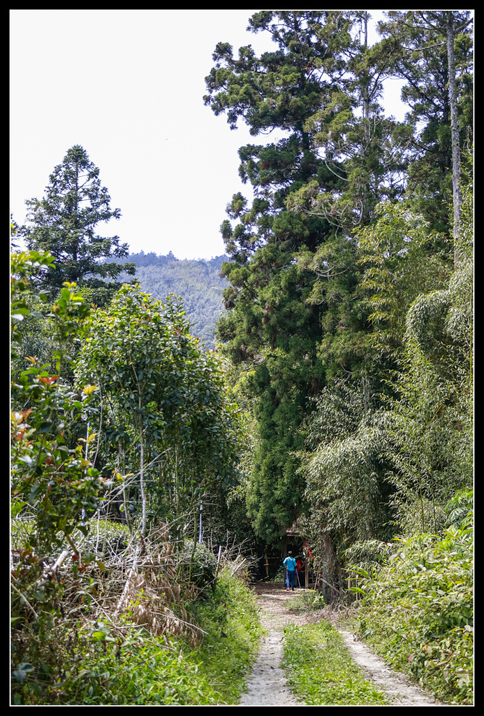 _MG_0103.jpg - 20170408 瑞太古道
