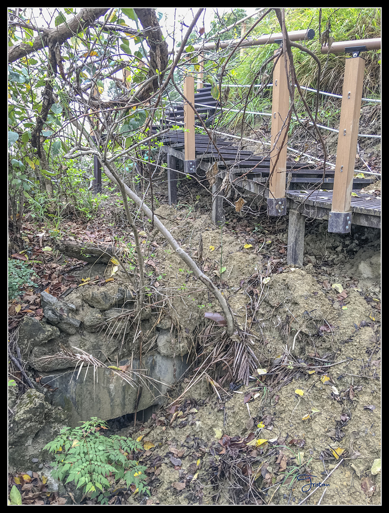 IMG_2729.jpg - 20170422 左營龜山步道、舊城