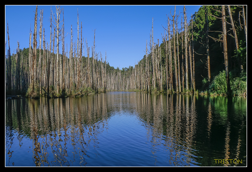 _MG_0265.jpg - 20170723 水漾森林