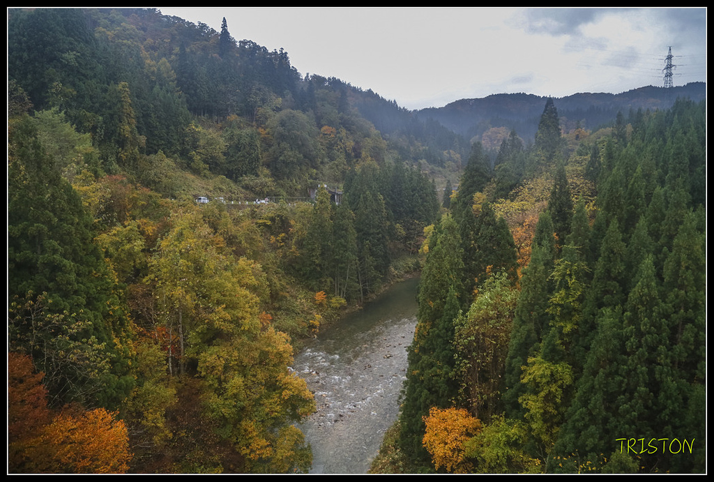 _H1A0843.jpg - 20171103 日本只見線、會津若松五色沼、昭和記念公園賞紅葉