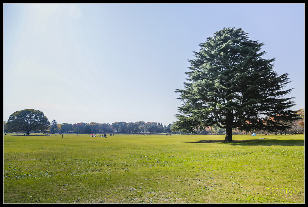 _H1A1790.jpg - 20171103 日本只見線、會津若松五色沼、昭和記念公園賞紅葉