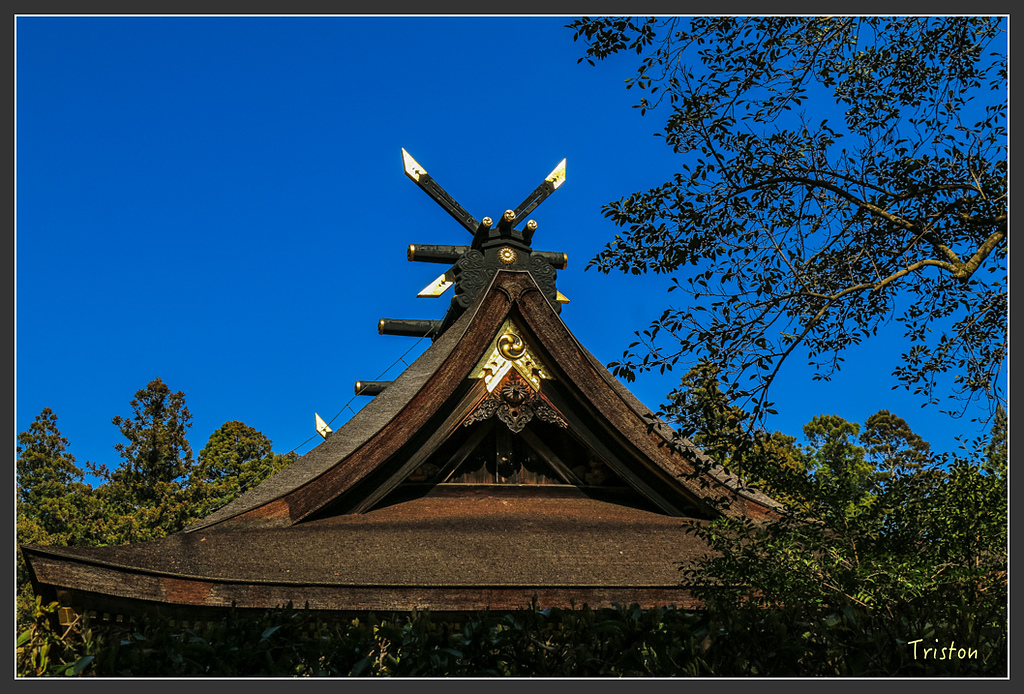 IMG_4864.jpg - 20160323 日本熊野古道健行