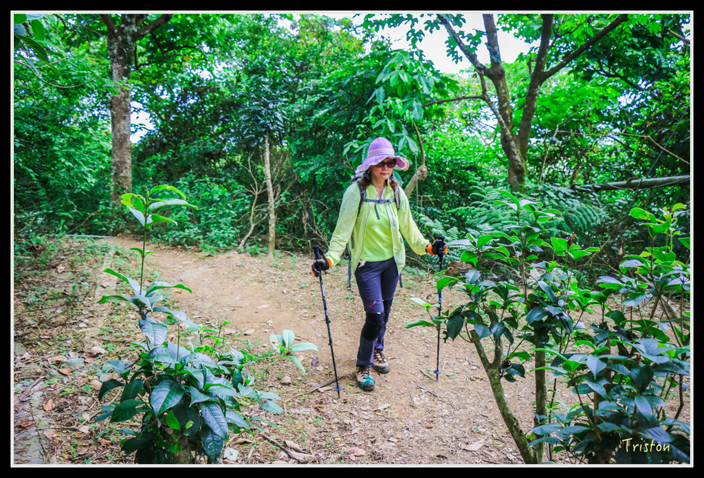 IMG_7326.jpg - 20160531 屏東笠頂山