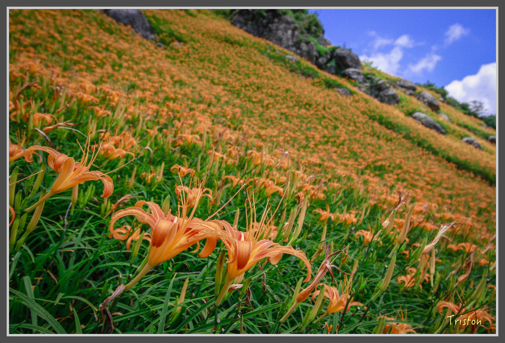 IMG-461.jpg - 20160821 中橫花東之旅