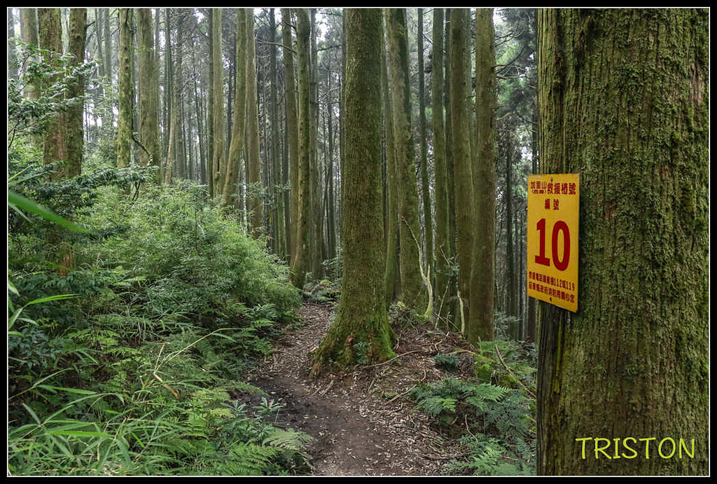 _MG_0139.jpg - 20170920 加里山