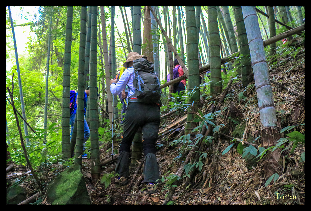 IMG_8307.jpg - 20150926 大凍山切霹靂山 抵龍雲山莊