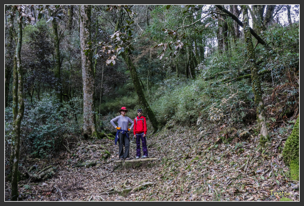 IMG_3425.jpg - 20160227 觀霧森林步道