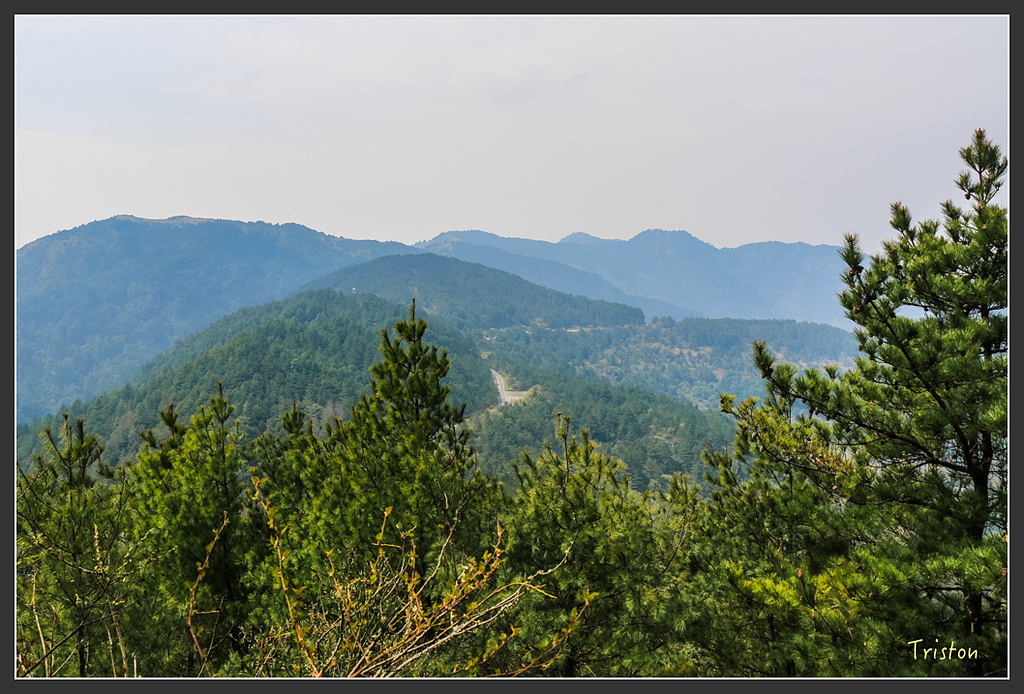 IMG_6229.jpg - 20160402 鹿林麟趾東埔山