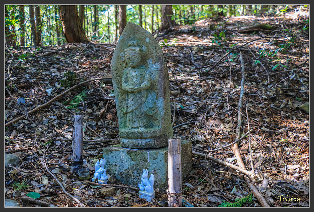 IMG_4818.jpg - 20160323 日本熊野古道健行