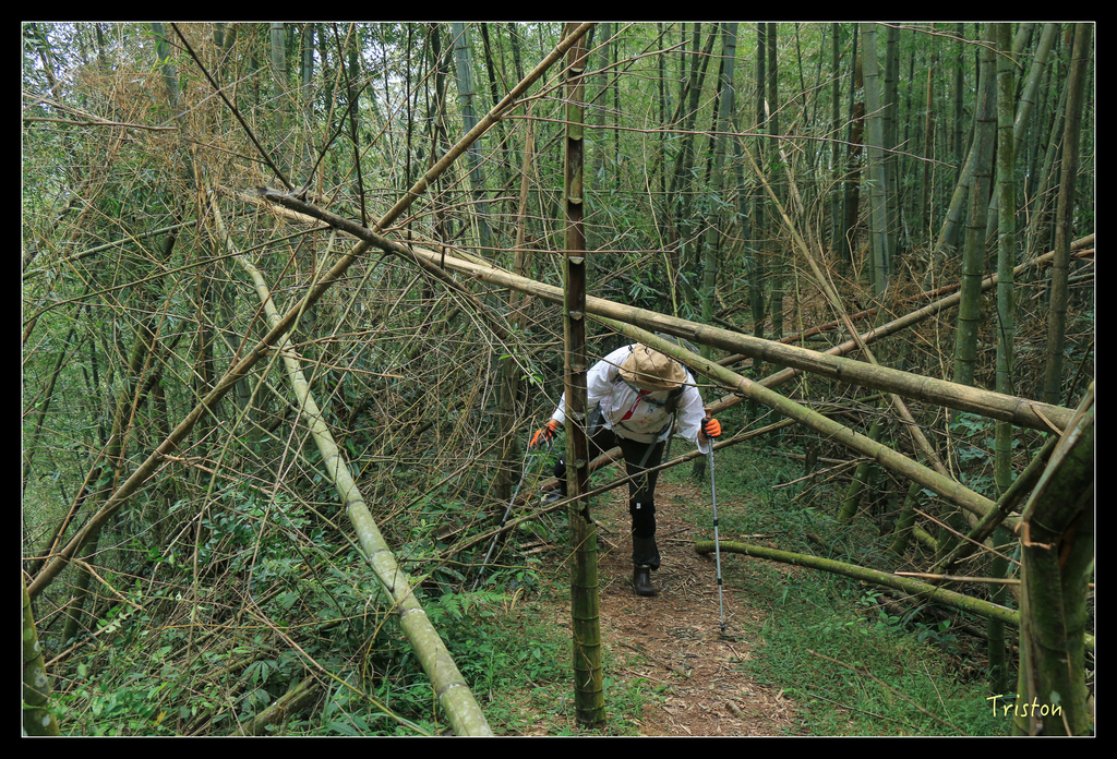 IMG_8410.jpg - 20151012 水社寮,四天王山