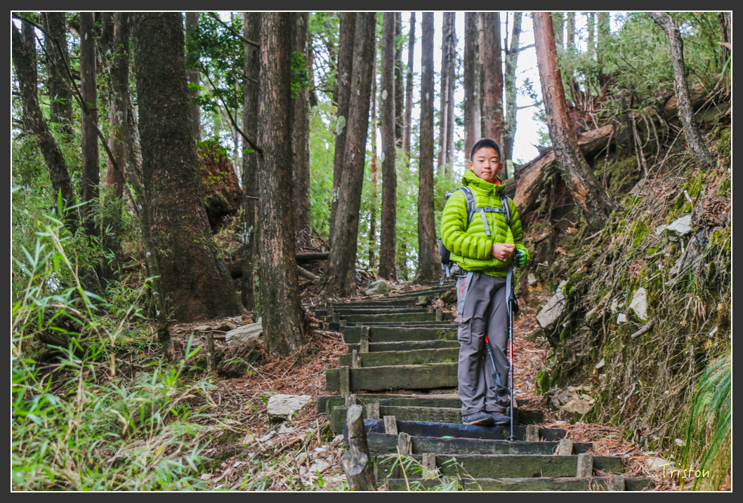 IMG_1061.jpg - 20151219 鳶嘴稍來山、小雪山林道