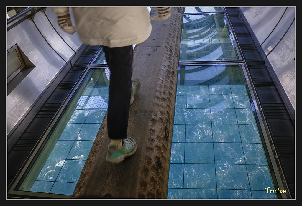 Canon-63.jpg - 20170120 大阪神戶親子遊