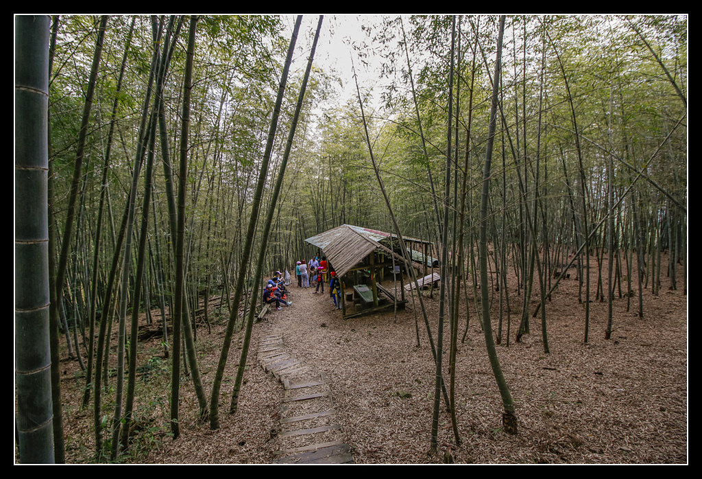 _MG_0173.jpg - 20170408 瑞太古道