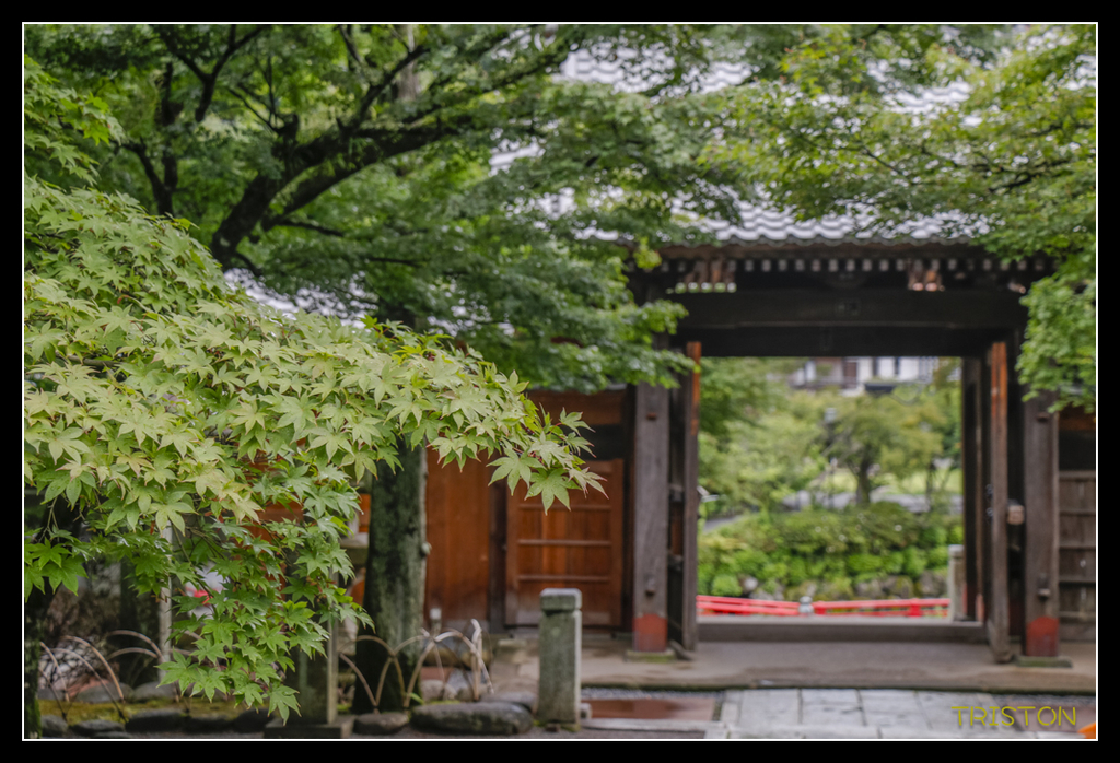 _MG_1137.jpg - 20170702 靜岡東海道之旅