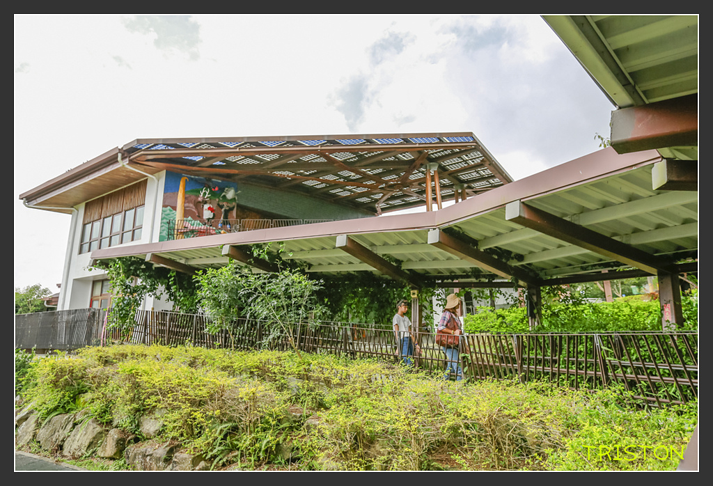 20170812-_H1A5461.jpg - 20170812 大埔、茶山、那瑪夏兜風