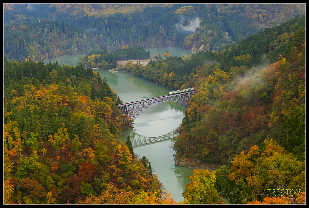 _H1A0451.jpg - 20171103 日本只見線、會津若松五色沼、昭和記念公園賞紅葉