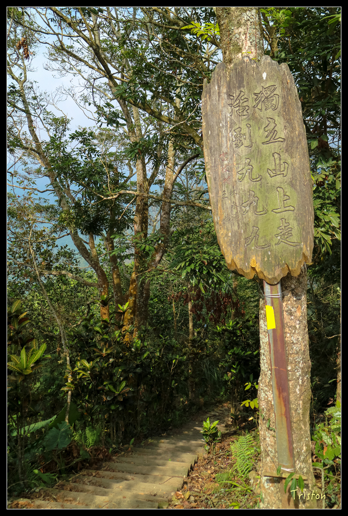 IMG_0744.jpg - 20151115 獨立山步道