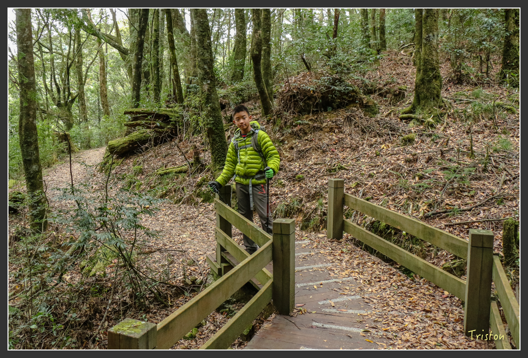 IMG_1140.jpg - 20151219 鳶嘴稍來山、小雪山林道