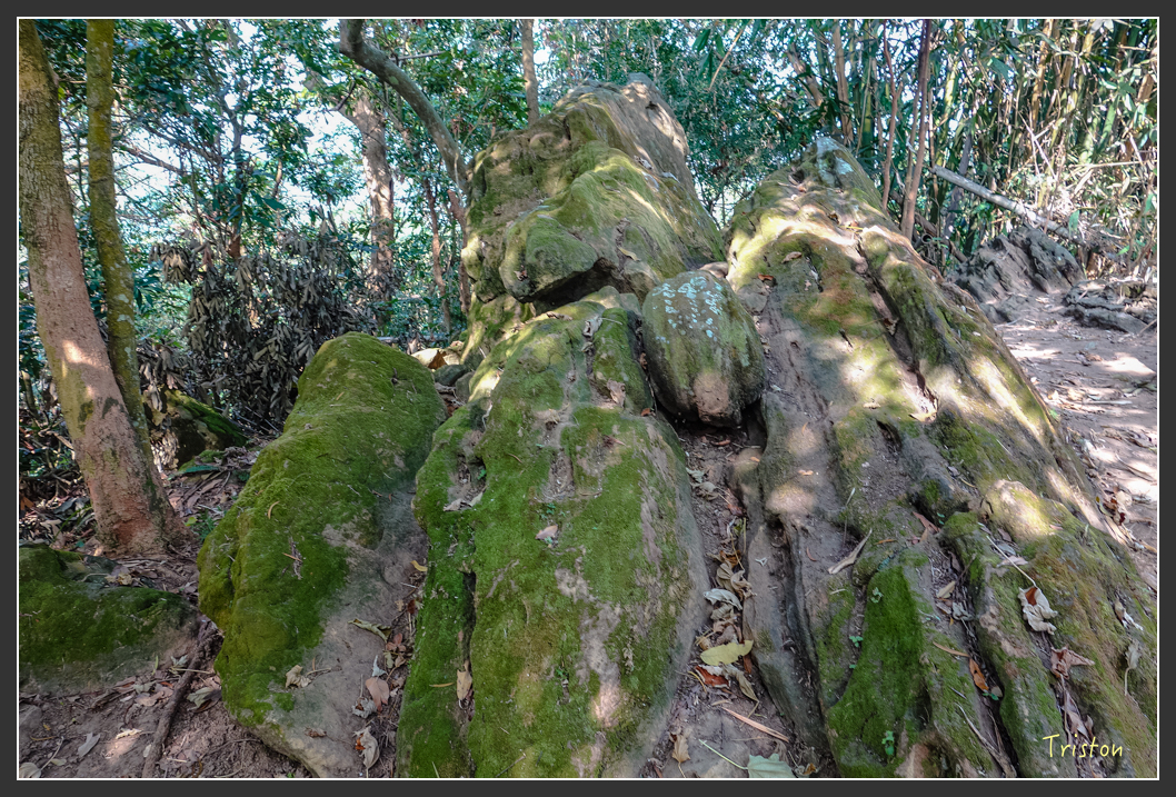 DSC00638.jpg - 20151229 鈺鼎步道