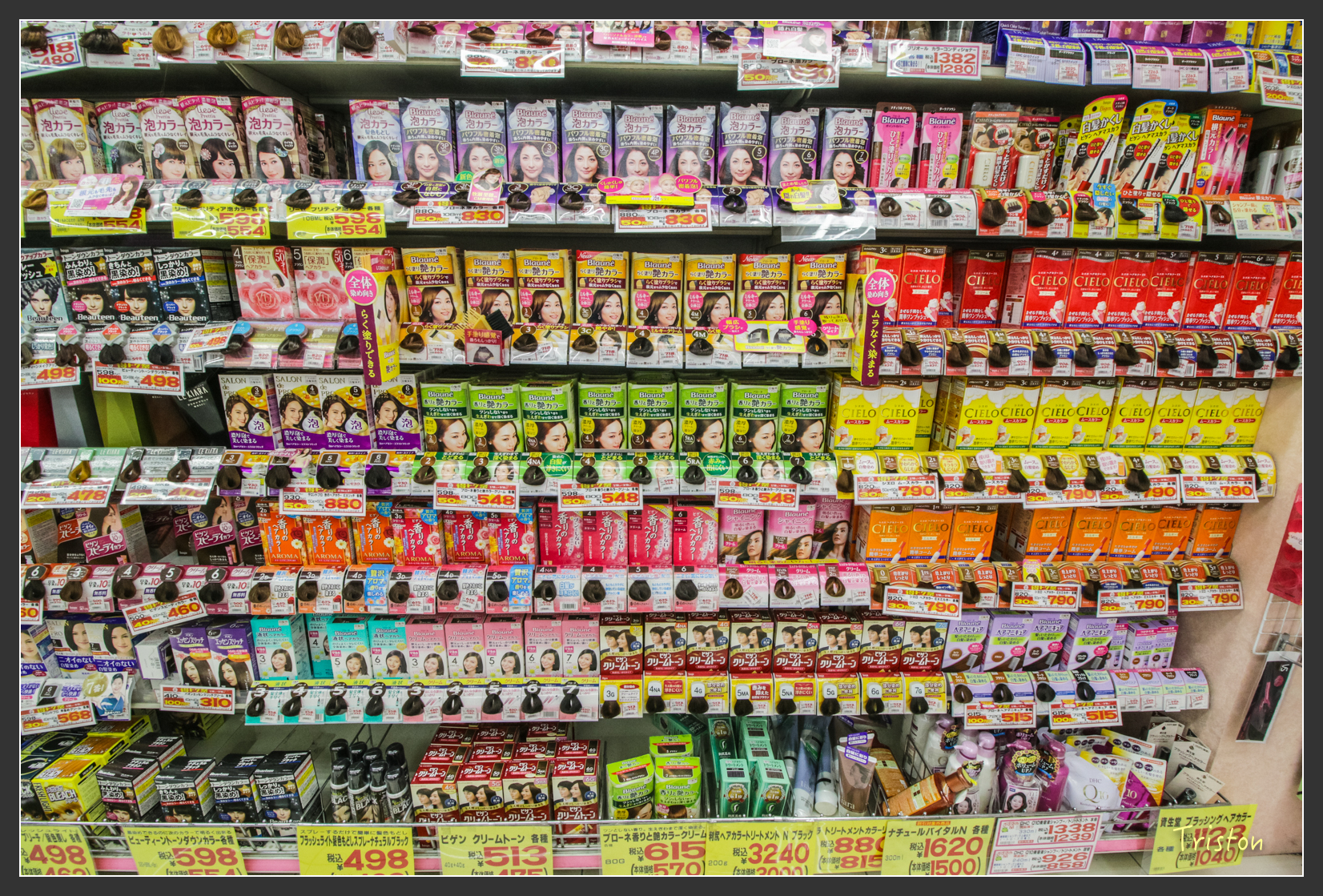 2016ZAO-00478.jpg - 20160131 日本藏王溫泉滑雪親子行