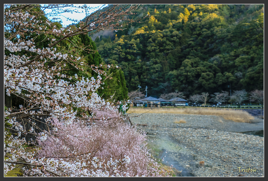 IMG_4951.jpg - 20160323 日本熊野古道健行