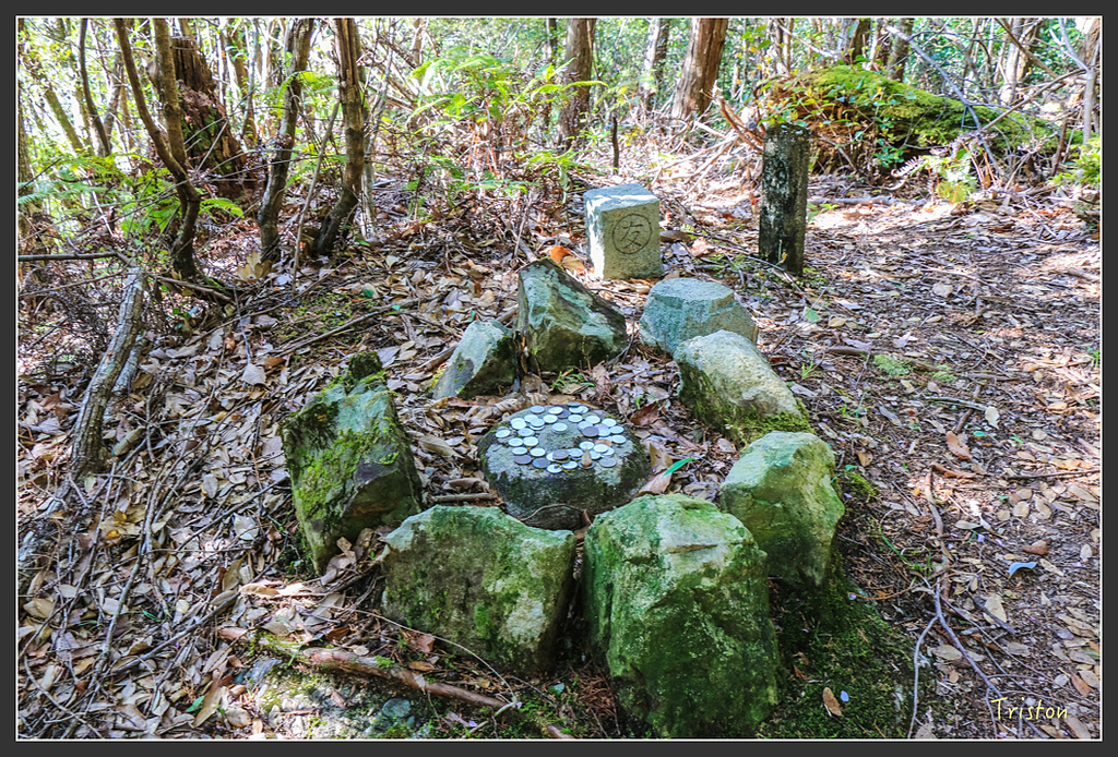 IMG_5039.jpg - 20160323 日本熊野古道健行