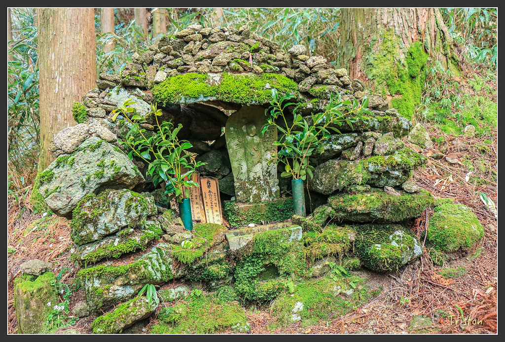 IMG_5545.jpg - 20160323 日本熊野古道健行