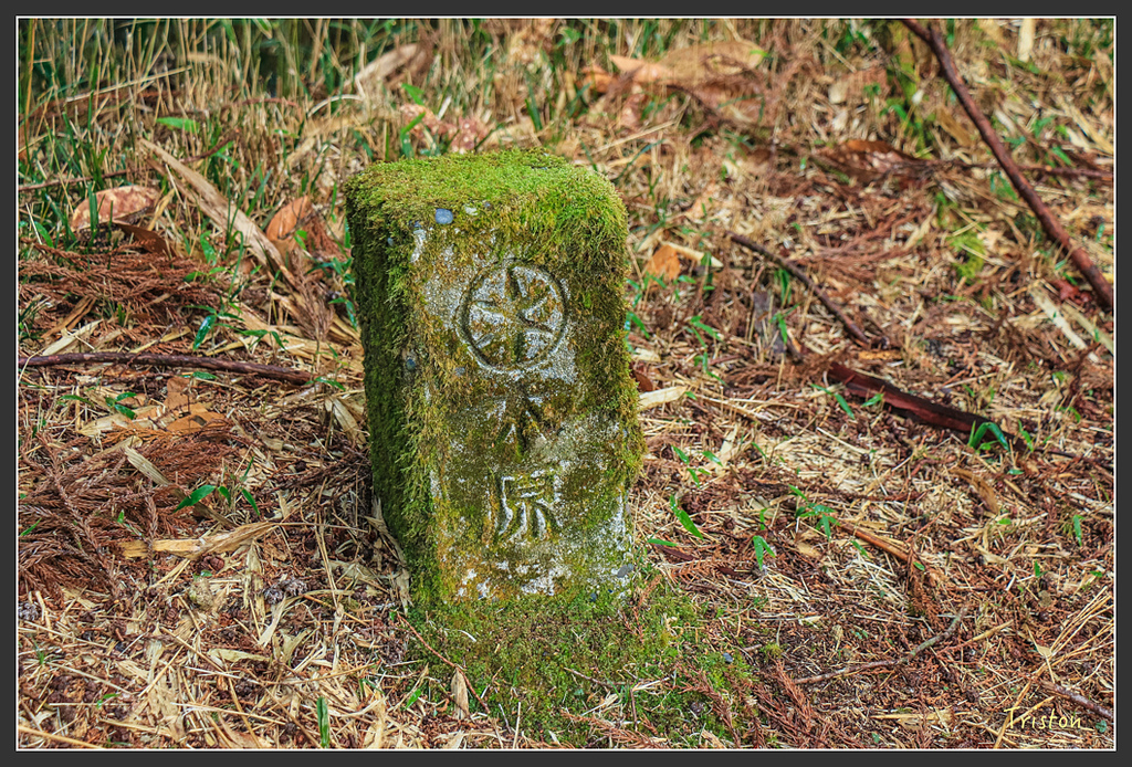 IMG_5555.jpg - 20160323 日本熊野古道健行