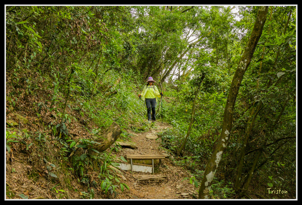 IMG_7346.jpg - 20160531 屏東笠頂山