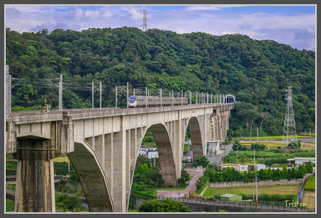 _MG_8948.jpg - 20160712 苗栗薰衣草森林