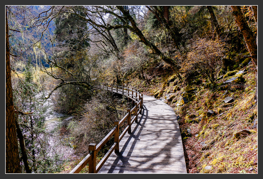 _MG_1021.jpg - 20161013 稻城亞丁