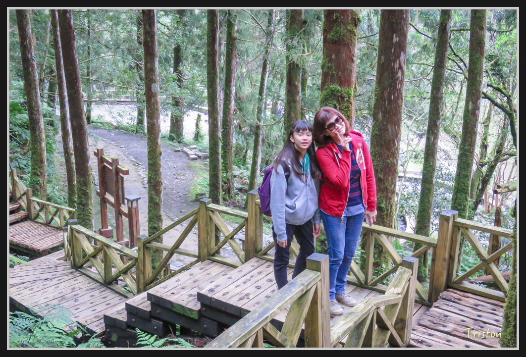 0036.jpg - 20161231 明池 神木園