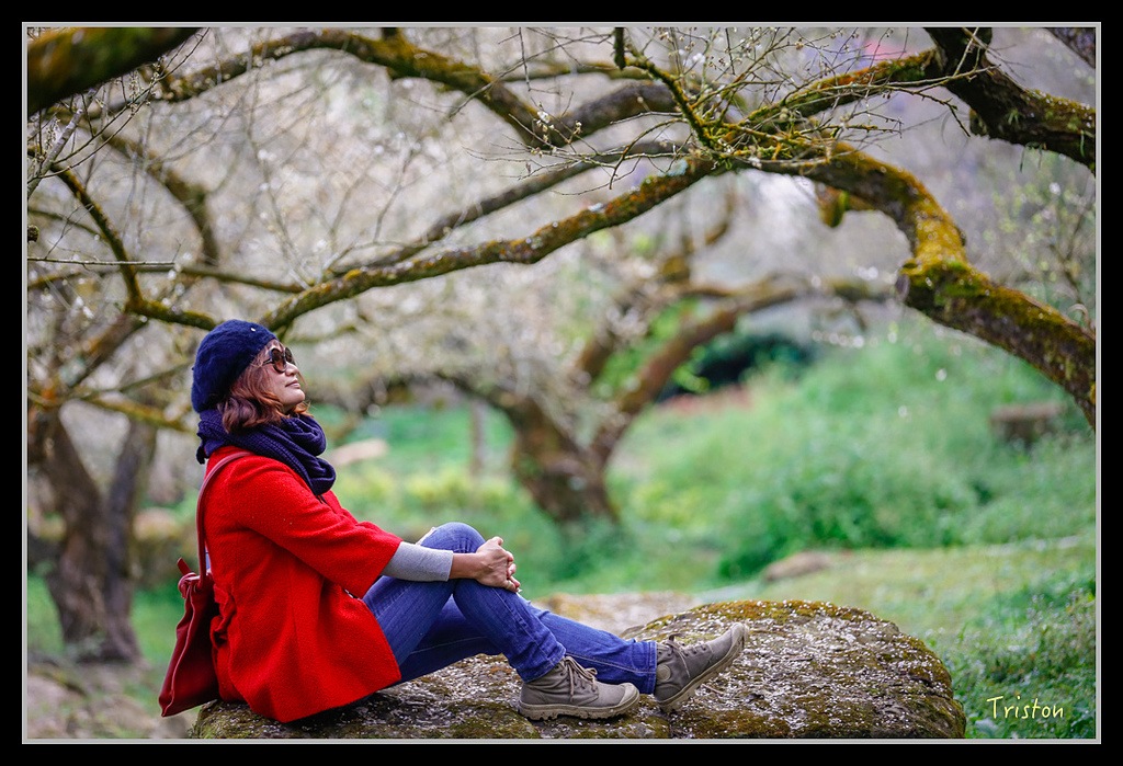 _H1A1451.jpg - 20170117 烏松崙、竹青庭