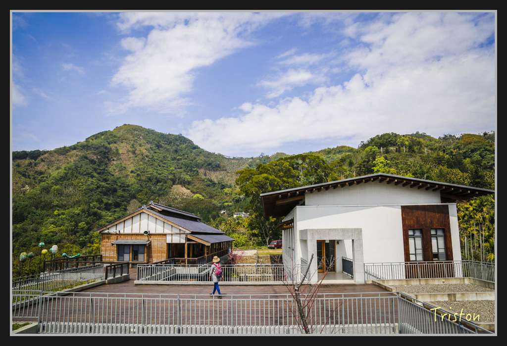 _H1A2507.jpg - 20170311 草嶺