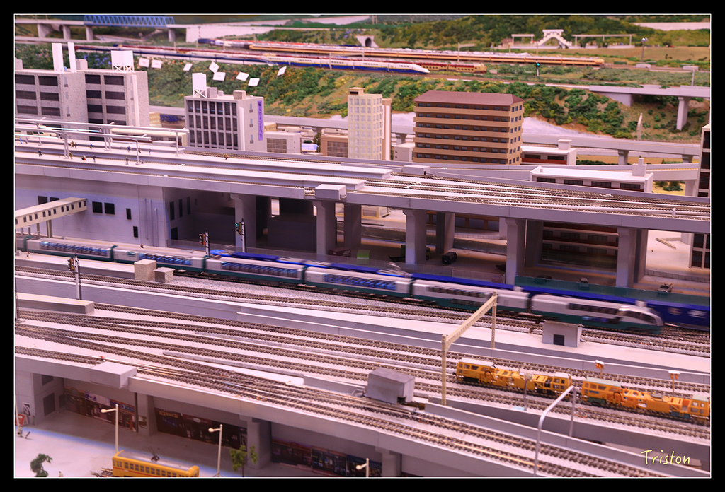 JH1A0327.jpg - 20150628 東京輕井澤日光