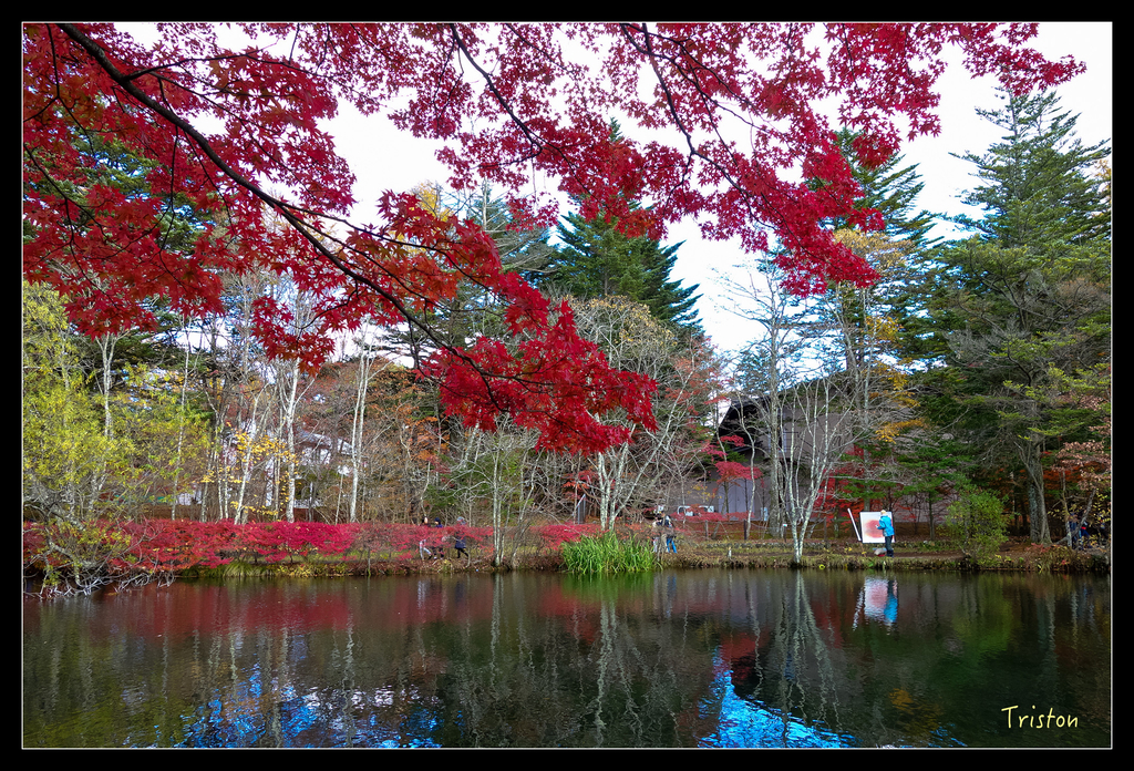 DSC00392.jpg - 20151031 秋天的童話-貴婦東京輕井澤紀行