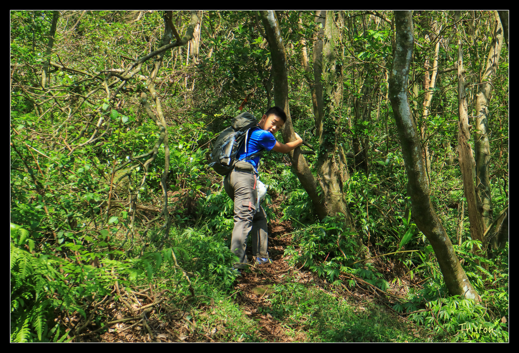 IMG_0524.jpg - 20151107 富士坪古道