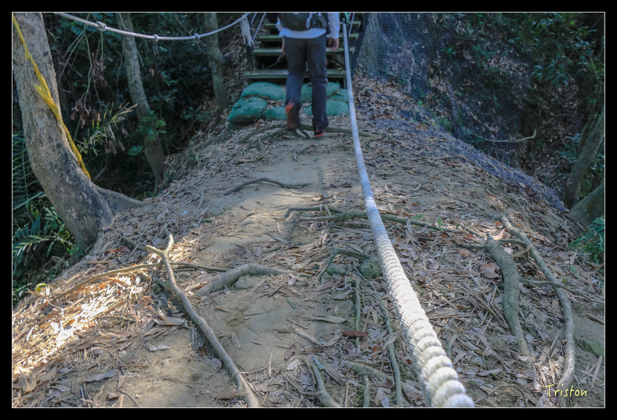 IMG_0315.jpg - 20151214 林內龍過脈步道