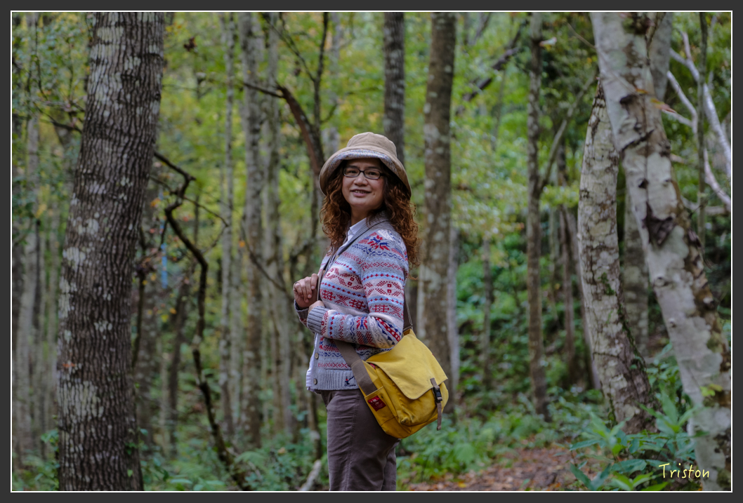 JH1A1198.jpg - 20151221 新竹秀巒賞楓